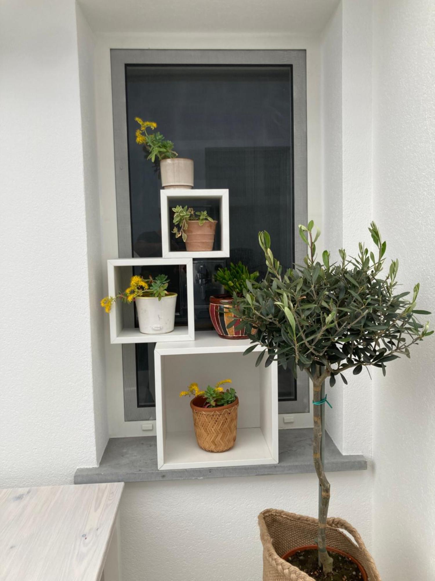 Casa di Mirea Bed & Breakfast Grado Bagian luar foto